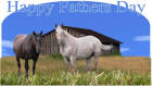 preview image half fold version