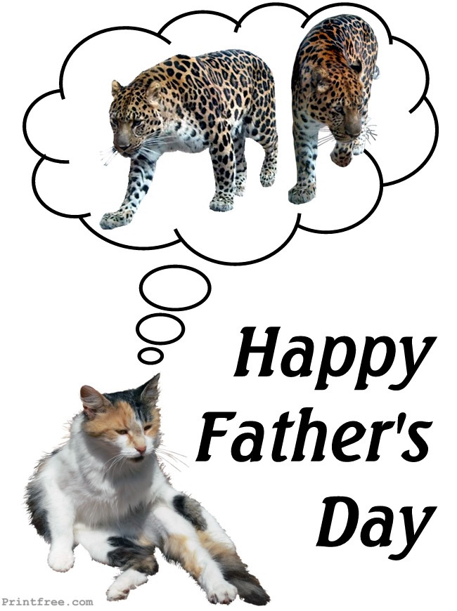 Happy Fathers Day cats