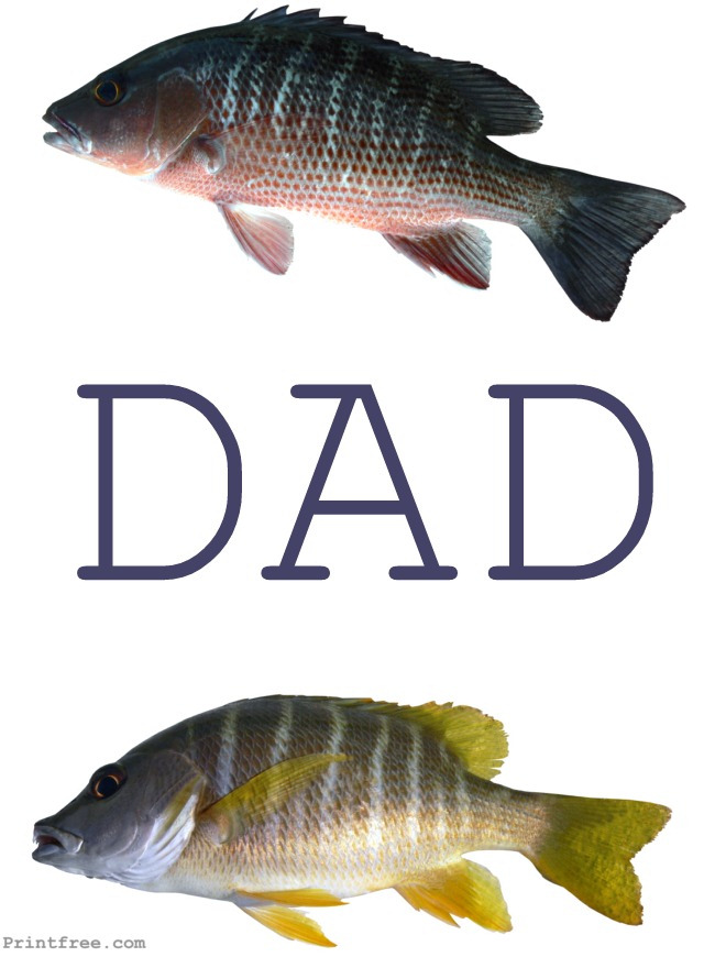 Large Decorative Print