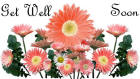 Get Well card flowers