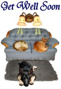 Get Well decoration pet scene