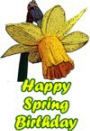 spring birthday card preview image