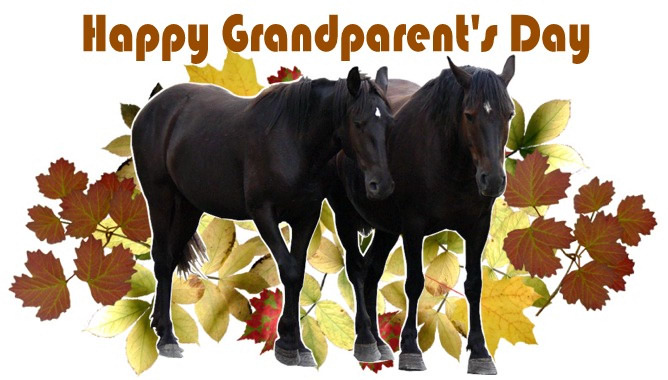 Horse Scene half fold card image