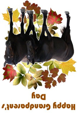 Horse scene card image
