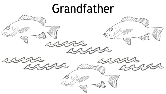 Grandma flowers half fold card image