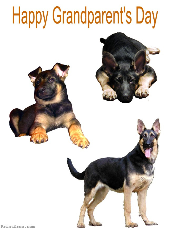 Happy Grandparents Day german shepherd