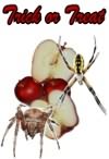 preview image Spider & Apples 