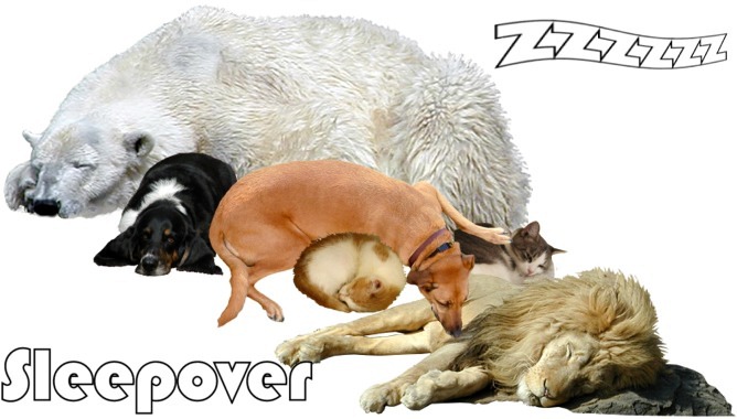 Sleepover, slumber party invitation Large