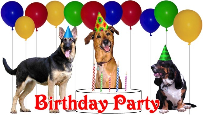 Birthday Party 03