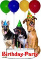 Birthday Party Invitation 03