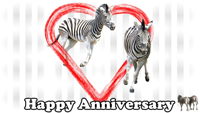 Frisky Zebras