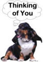 Bassett Hound Thinking of You card