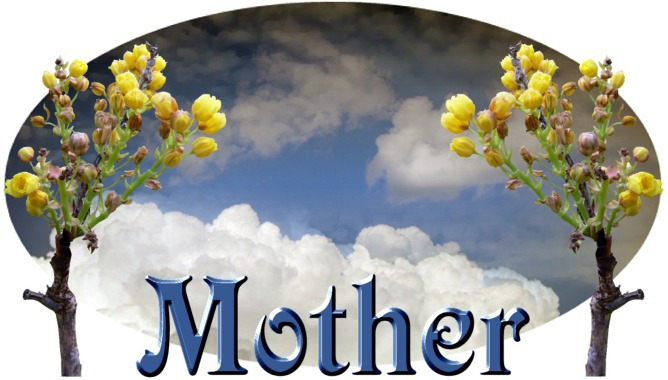 Mother yellow flower bud dramatic sky