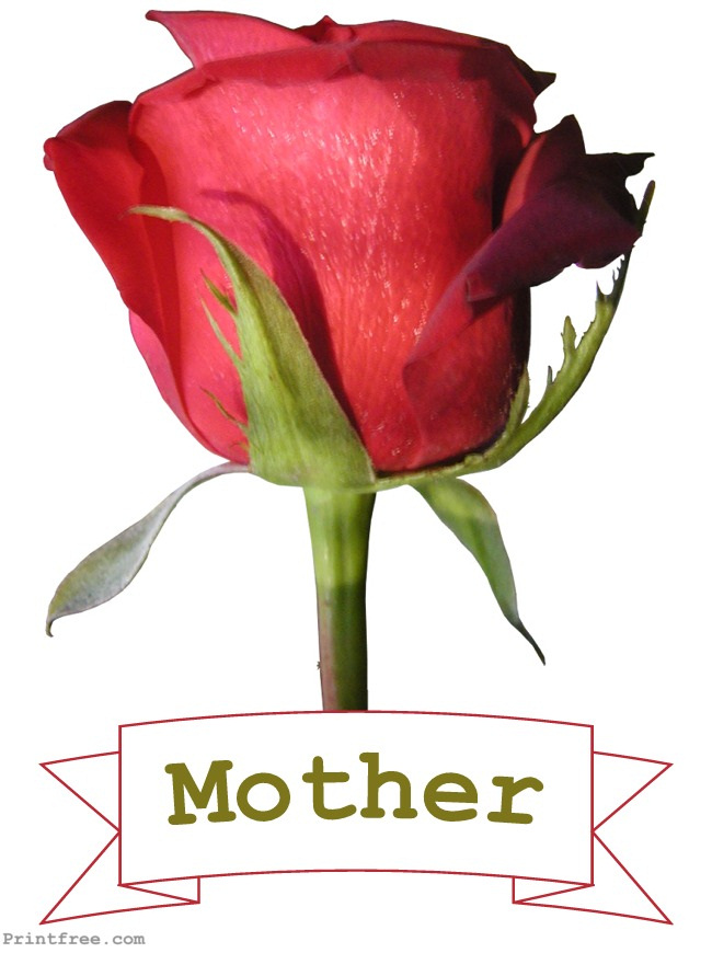 Mother red rose decoration