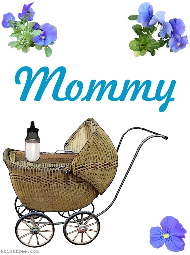 Blue Mommy Baby boy buggy decoration