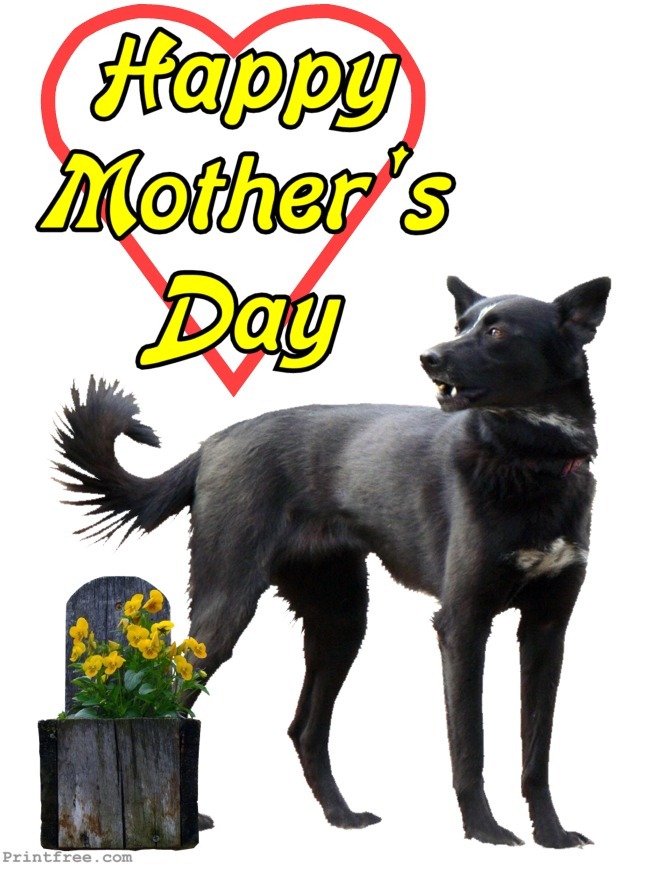 Happy Mothers Day sled dog decoration