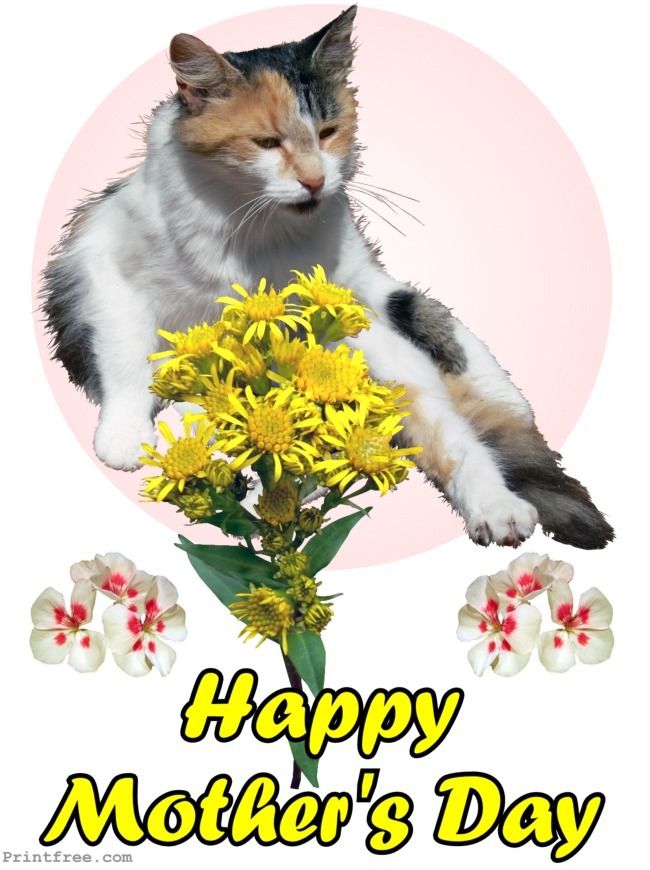 Happy Mothers Day cat decoration