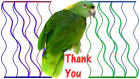 Thank You card image parrot