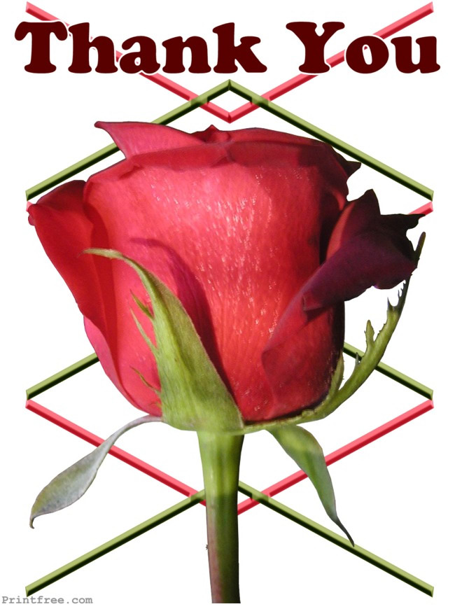 decoration image