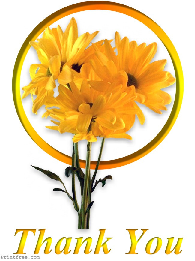 decoration image