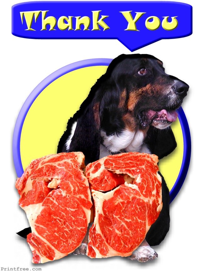 decoration image