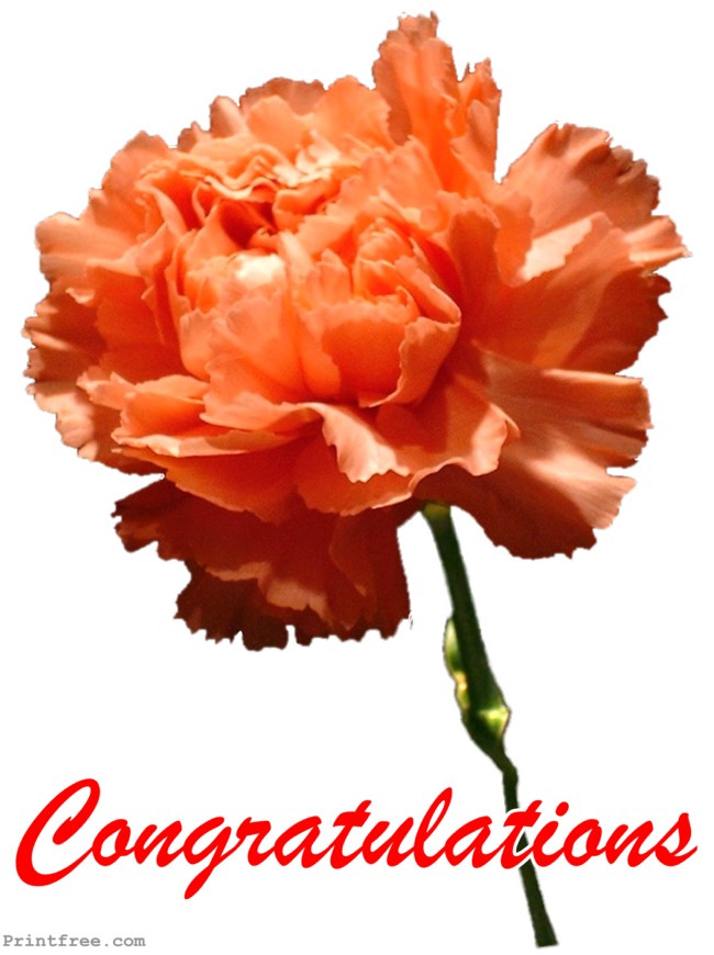 decoration image