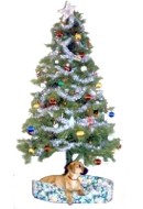 Christmas image