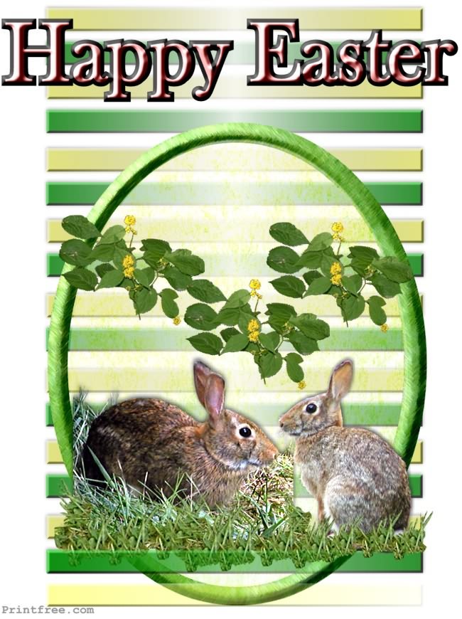 decoration image