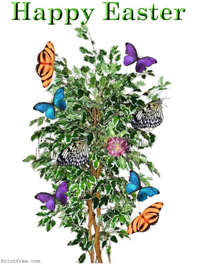decoration image