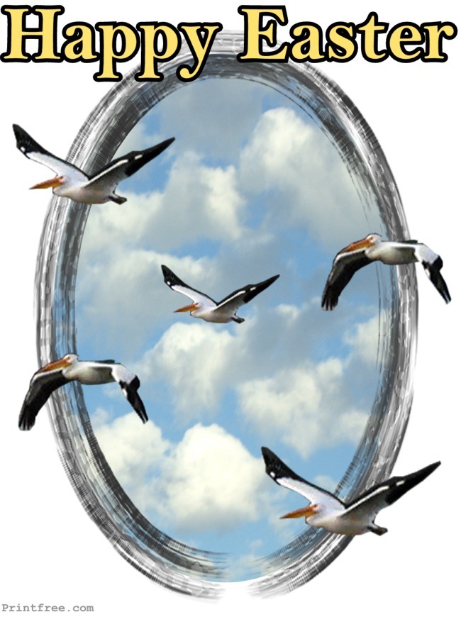 decoration image