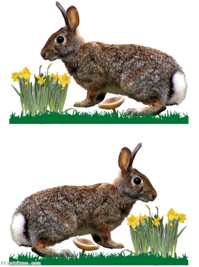 decoration image