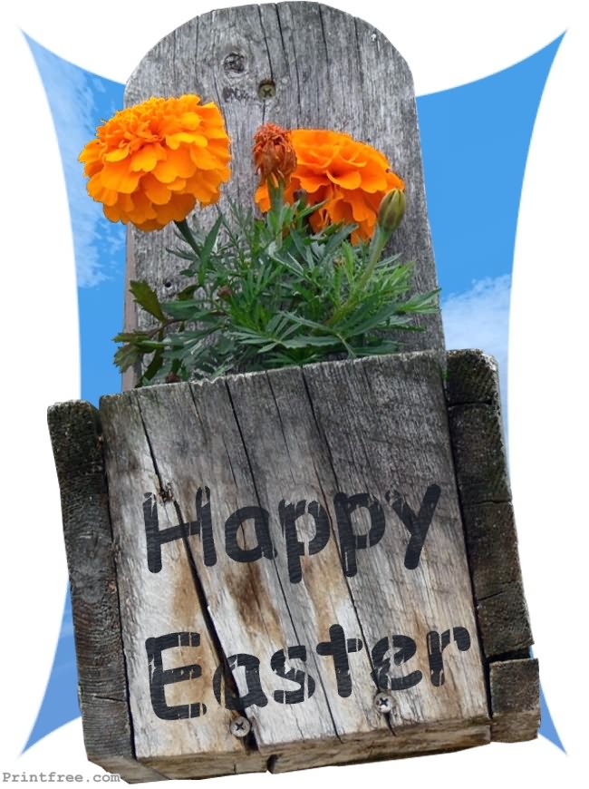 decoration image