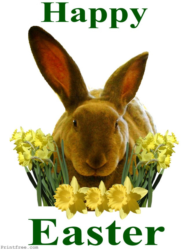 large decorative image