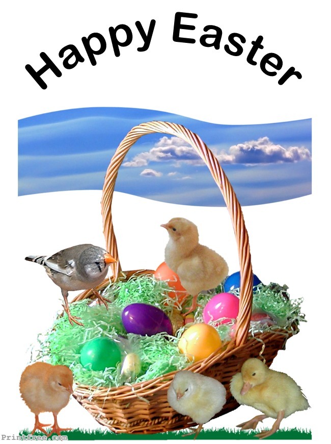 large decorative image