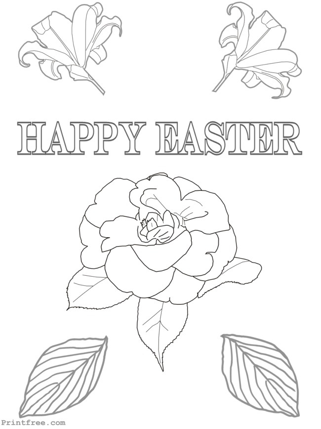large decorative image