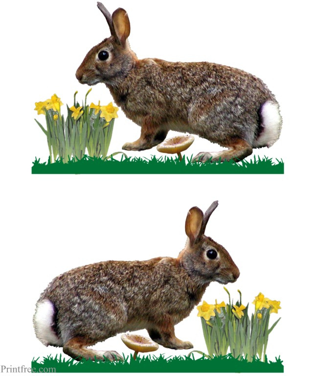 Print image
