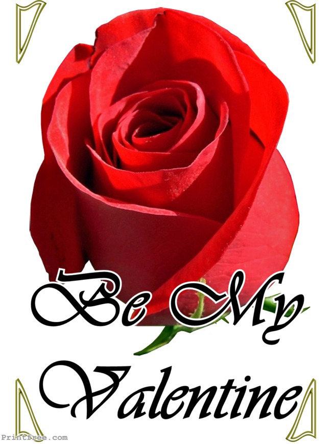 decorative print image