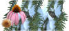 Preview Image Flower Calendar