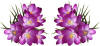 Preview Image Flower Calendar