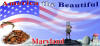 Preview Image America the Beautiful Calendar