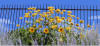 Preview Image Flower Calendar