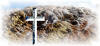 Preview Image Spiritual Calendar