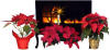 Preview Image Flower Calendar