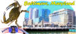 picture calendar preview Baltimore