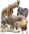 zoo animals preview image