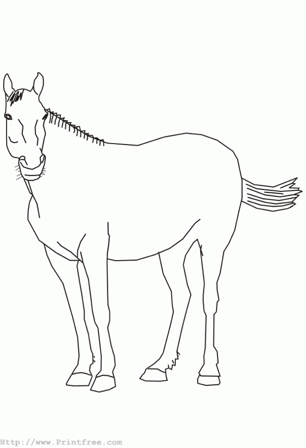 horse outline image