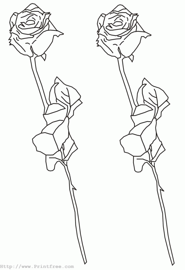 Roses outline image
