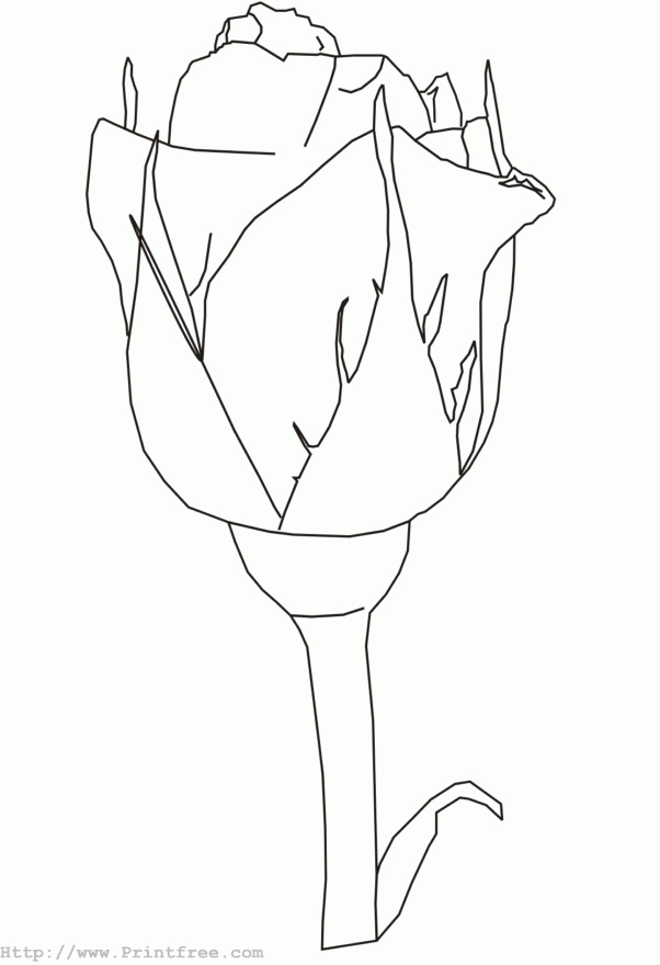 Rose outline image