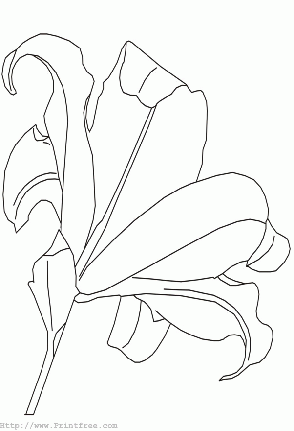 Flower outline image