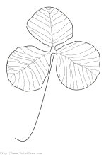 Clover